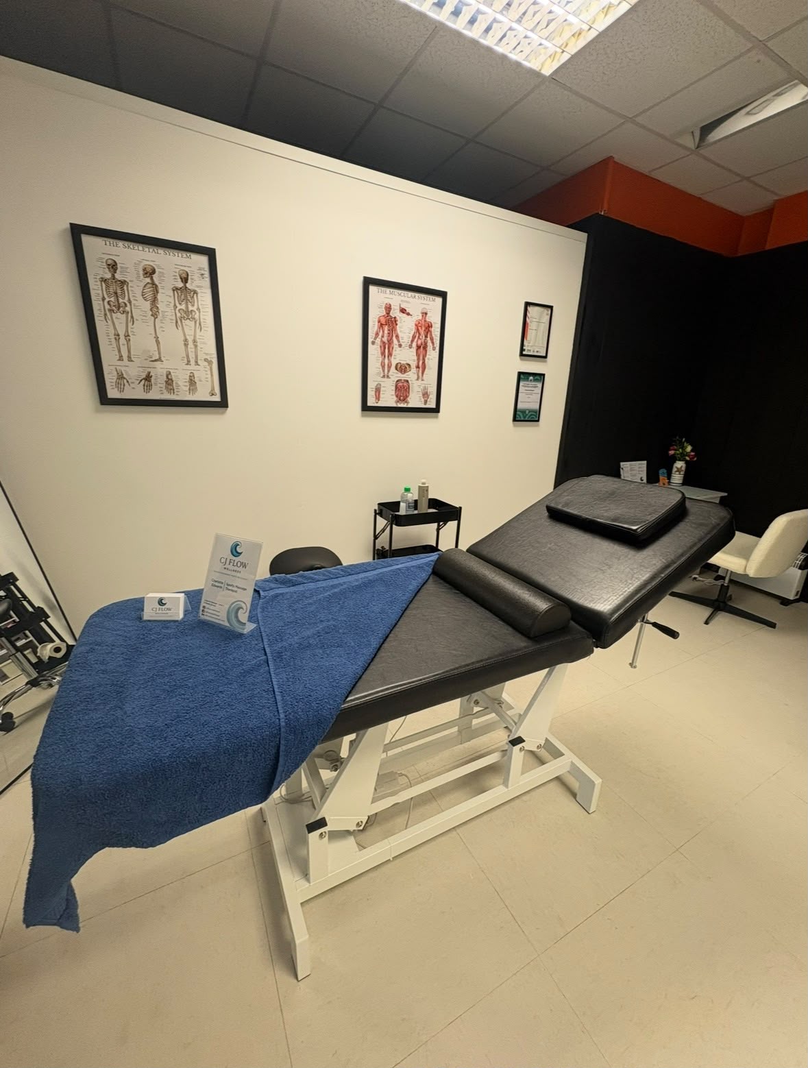 CJ Flow Wellness coastal backdrop
